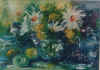 Appelsdaisies.jpg (61074 bytes)