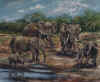 Elephants ii.jpg (72664 bytes)