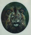 Lion portrait.jpg (44192 bytes)