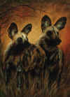 Wild Dogs.jpg (53147 bytes)