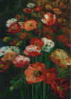Wild Poppies.jpg (55453 bytes)