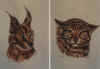 Wildcat portraits.jpg (37338 bytes)